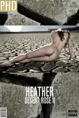 Heather from PHOTODROMM Heather from PHOTODROMM