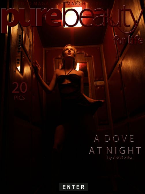 Dagmar - `A Dove At Night` - by Adolf Zika for PUREBEAUTY Dagmar - `A Dove At Night` - by Adolf Zika for PUREBEAUTY
