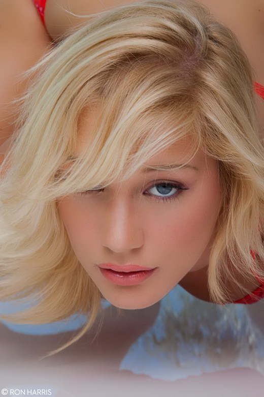 Hayden Hawkens - `Coral Bra` - by Ron Harris for RON-HARRIS Hayden Hawkens - `Coral Bra` - by Ron Harris for RON-HARRIS