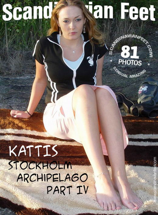 Kattis - `Stockholm Archipelago Part IV` - for SCANDINAVIANFEET Kattis - `Stockholm Archipelago Part IV` - for SCANDINAVIANFEET