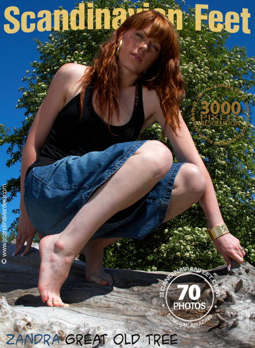 Zandra - `Great Old Tree` - for SCANDINAVIANFEET Zandra - `Great Old Tree` - for SCANDINAVIANFEET