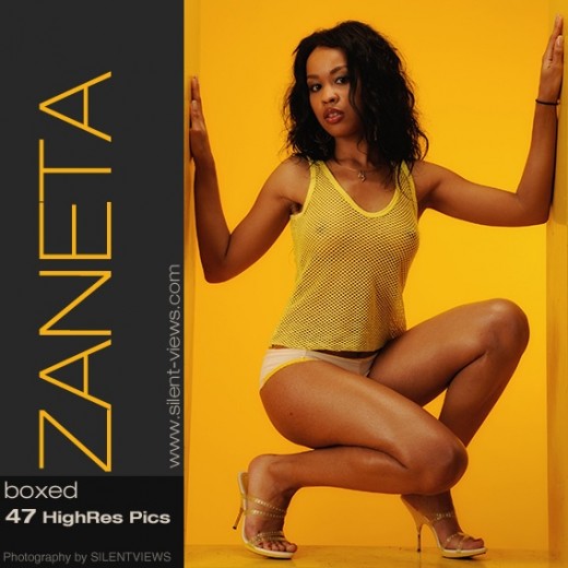 Zaneta - `#667 - Boxed` - for SILENTVIEWS Zaneta - `#667 - Boxed` - for SILENTVIEWS