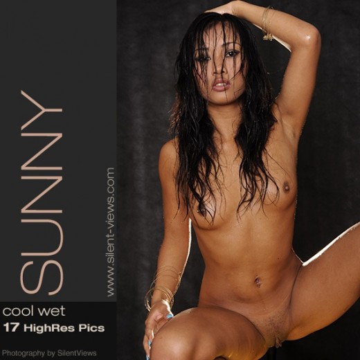 Sunny - `#484 - Cool Wet` - for SILENTVIEWS2 Sunny - `#484 - Cool Wet` - for SILENTVIEWS2