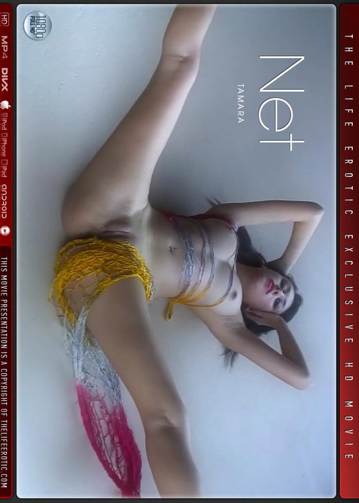 Tamara - `Net` - for THELIFEEROTIC Tamara - `Net` - for THELIFEEROTIC