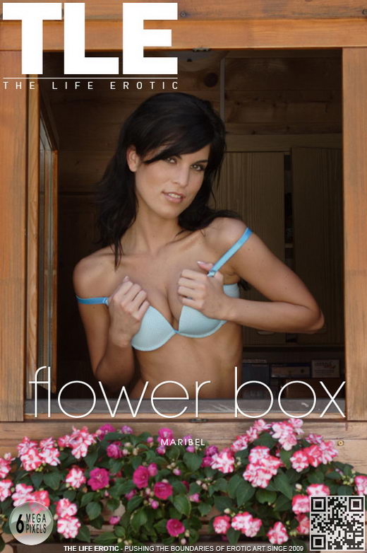 Maribel - `Flower Box` - by Jordan Dexter for THELIFEEROTIC Maribel - `Flower Box` - by Jordan Dexter for THELIFEEROTIC