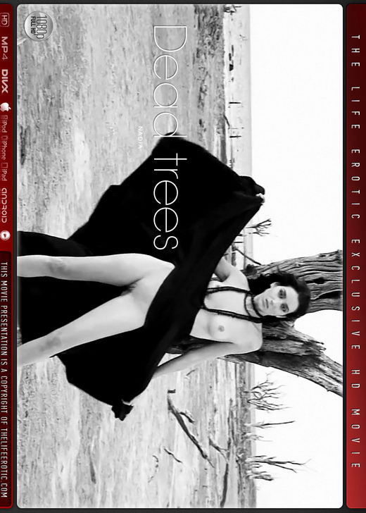 Nadia - `Dead Trees` - for THELIFEEROTIC Nadia - `Dead Trees` - for THELIFEEROTIC