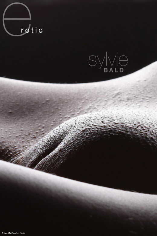Sylvie - `Bald` - for TLE ARCHIVES Sylvie - `Bald` - for TLE ARCHIVES
