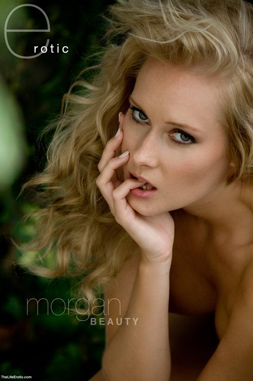 Morgan - `Patio` - for TLE ARCHIVES Morgan - `Patio` - for TLE ARCHIVES