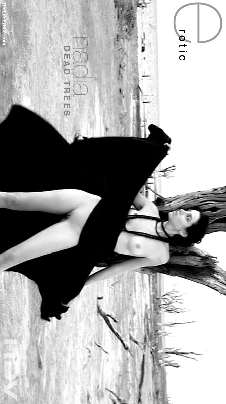 Nadia - `Dead Trees` - for TLE ARCHIVES Nadia - `Dead Trees` - for TLE ARCHIVES